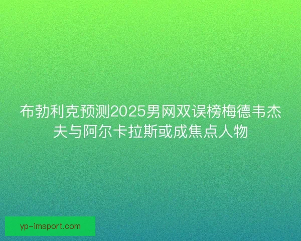 布勃利克预测2025男网双误榜梅德韦杰夫与阿尔卡拉斯或成焦点人物 布勃利克预测2025男网双误榜梅德韦杰夫与阿尔卡拉斯或成焦点人物
